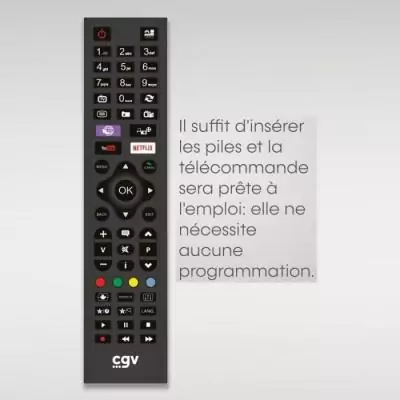 Télécommande de remplacement - CGV - FIDELIO Hisense - Pour téléviseurs Hisense - Sans programmation - Prete a l'emploi