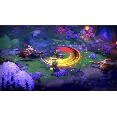 Towa and the Guardians of the Sacred Tree - Jeu PS5