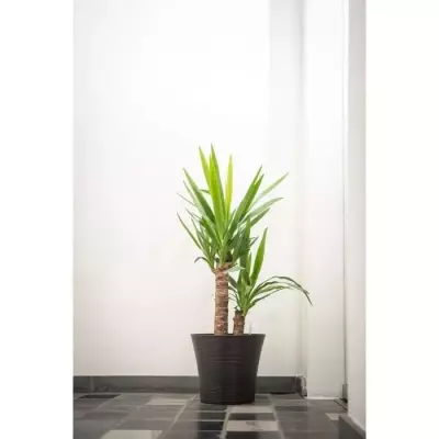 Pot de fleurs GARDEN ID Green Care Sense Noir-Anthracite - 40x34cm - Garantie 10 ans Pot de fleurs GARDEN ID Green Care Sense Noir-Anthracite - 40x34cm - Garantie 10 ans