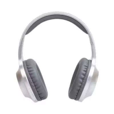 Casque - PANASONIC - RB-HX220BDES - Arceau - Bluetooth - Silver