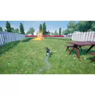 Squirrel With a Gun - Le jeu PS5 délirant 