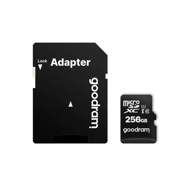 Carte Micro SD GoodRam M1AA-2560R12 Noir 256 GB