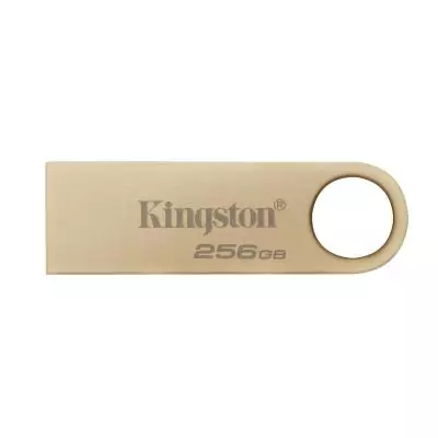 Kingston Technology DataTraveler 256Go 220Mo s Clé USB 3.2 Gen 1 Métal SE9 G3