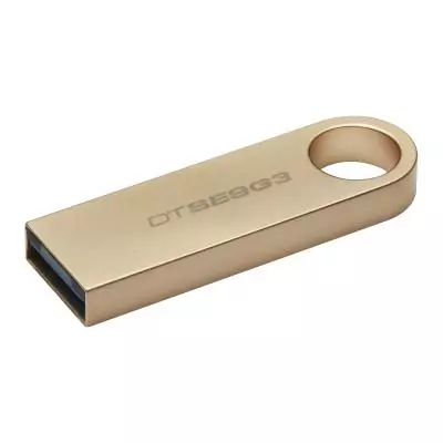 Kingston Technology DataTraveler 256Go 220Mo s Clé USB 3.2 Gen 1 Métal SE9 G3