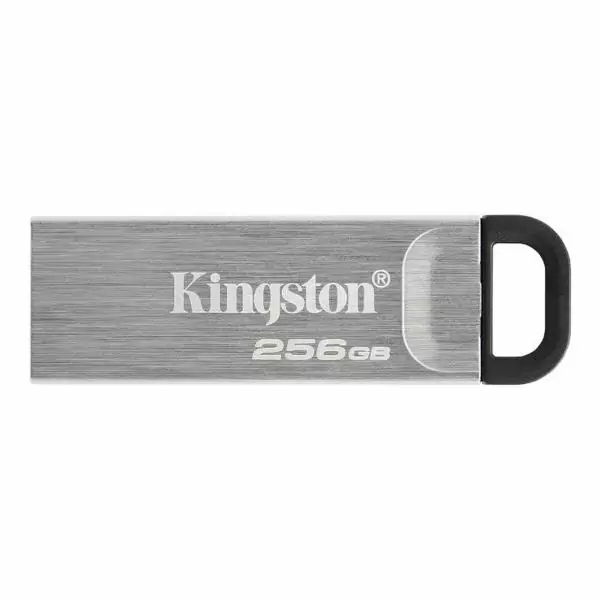 Clé USB Kingston Noir 256 GB