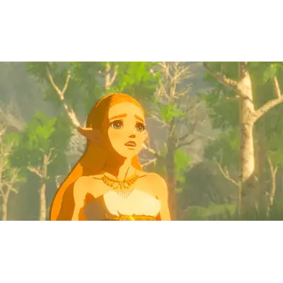 Nintendo The Legend of Zelda Breath of the Wild Switch Standard Français Nintendo Switch