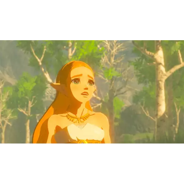 Nintendo The Legend of Zelda: Breath of the Wild Switch Standard Français Nintendo Switch