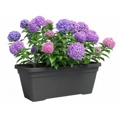Jardiniere Anthracite Rectangulaire - 58 x 25 x 22cm Jardiniere Anthracite Rectangulaire - 58 x 25 x 22cm