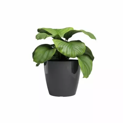 Pot de fleur ARTEVASI SAN REMO 36 br Anthracite - 60cm