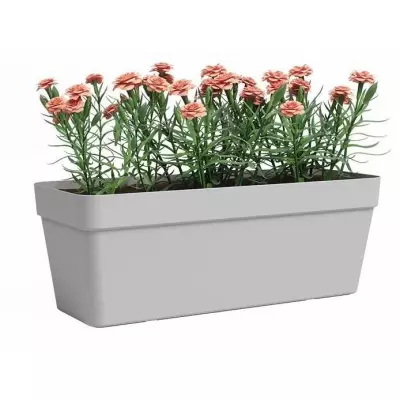Jardinière Rectangulaire Plastique Gris - L49,9xP20xH18,1cm Jardinière Rectangulaire Plastique Gris - L49,9xP20xH18,1cm