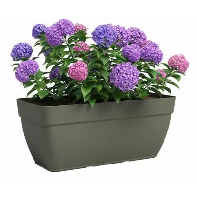 Jardinière Rectangulaire Vert Sec - Idéale pour Vos Plantes - ARTEVASI