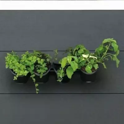 Kit mural de pots 1L - Jardinière murale noire - H 15 x L 60 cm