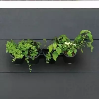 Kit mural de pots 1L - Jardinière murale noire - H 15 x L 60 cm