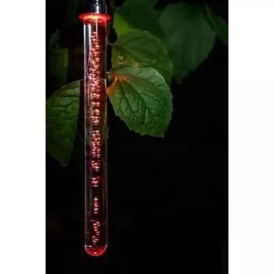 Lanterne Bâton Solaire Cristal 22 cm - Couleur changeante - Autonomie 6-8h