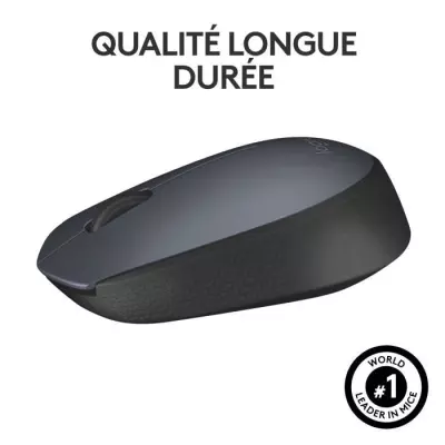 Souris Logitech M170 Sans fil Ambidextre Gris Souris Logitech M170 Sans fil Ambidextre Gris
