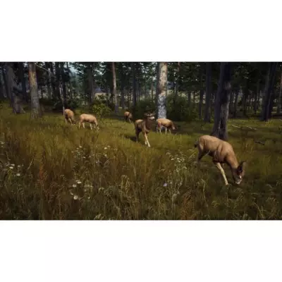 Explorez la nature sauvage avec Way of the Hunter sur Xbox Series X