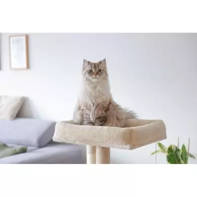 Arbre à chat moelleux 100 cm Alessia - Kerbl - Alcôve double