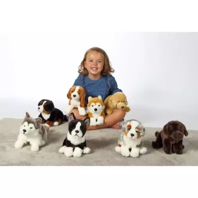 Peluche Chien Beagle GIPSY TOYS - Assis, 25 cm - Jouet Doux et Adorable Peluche Chien Beagle GIPSY TOYS - Assis, 25 cm - Jouet Doux et Adorable