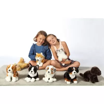 Peluche Chien Beagle GIPSY TOYS - Assis, 25 cm - Jouet Doux et Adorable Peluche Chien Beagle GIPSY TOYS - Assis, 25 cm - Jouet Doux et Adorable