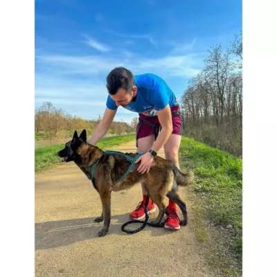 Harnais de traction pour chien OLYMPIA - L - Bleu