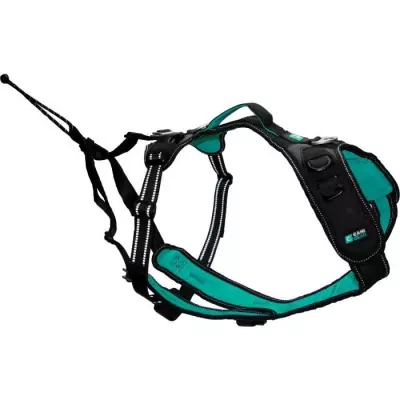 Harnais pour chien SYMBIOZ - XS - Noir/Bleu - Idéal pour les promenades