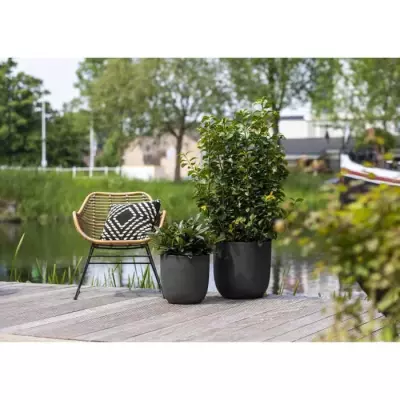 Jardinière Urban Smooth Noir 43x41 cm - Déco Moderne Jardinière Urban Smooth Noir 43x41 cm - Déco Moderne