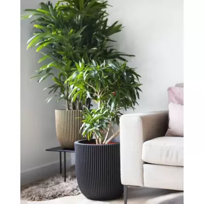 Jardinière Nature Rib Noir 35 x 34 cm - Élégance pour vos plantes
