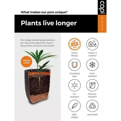 Jardinière Nature Rib 54x52 cm anthracite - Pour un jardin éclatant