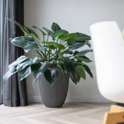 Cache-pot élégant Capi Vase Groove 46x58 cm Anthracite