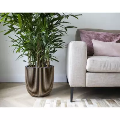 Cache-pot élégant CAPI Jardiniere Groove 43x41 cm noir et doré