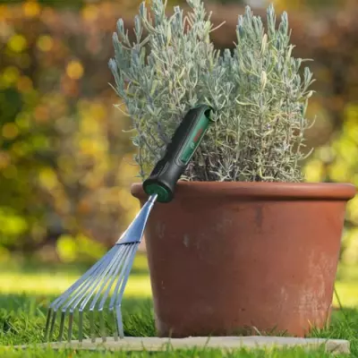 Balai à Gazon Pratique et Efficace