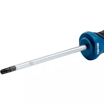 Tournevis Bosch Professional TX 25x100 - Outil de qualité