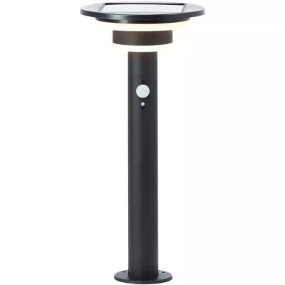 Lampe de jardin LED solaire avec détecteur de mouvement - Noir