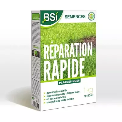 BSI - Semences De Gazon - Réparation Rapide - 1Kg
