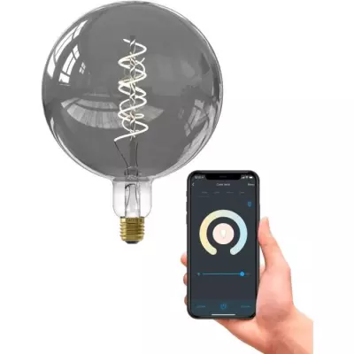Ampoule LED E27 CALEX G200 SMART LED - Intensité variable - Titanium