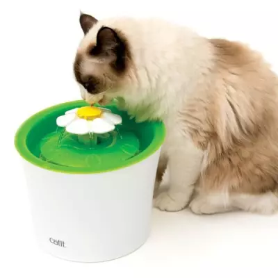 Fontaine à Fleur Pour Chat Catit Senses 2.0 - Abreuvoir 3L Efficace