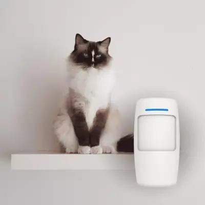 Capteur de mouvement sans fil pour animaux de compagnie WPS301