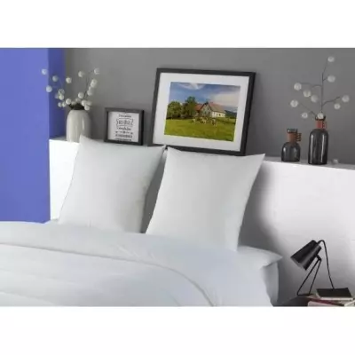 Lot de 2 Oreillers MERIBEL Plumettes 60x60cm - Plus responsable et Made in France