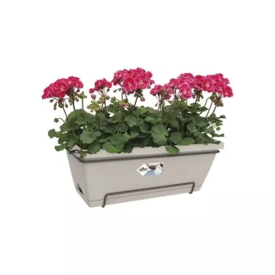 Barcelona Xl Allin1 55 taupe - Jardinière complète compacte