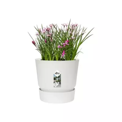 elho Greenville Pflanztopf Ø47 cm blanc - JARDINIERE - BAC A FLEUR