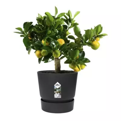 Pot de fleurs rond Greenville 30 - Vivre noir - Ø 29,5 x H 27,8 cm - Parfait pour l'extérieur