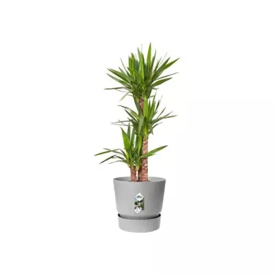Pot de fleurs rond Greenville 30 - Gris béton vivant