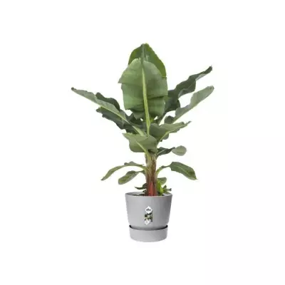 Pot de fleurs rond Greenville 30 - Gris béton vivant
