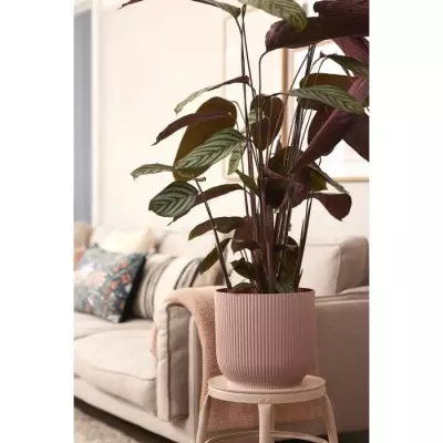 Pot de fleurs ELHO Vibes Fold avec roues - Rose - Ø 35 x H 32 cm
