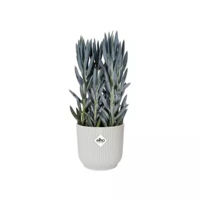 Pot de fleurs ELHO Vibes Fold - Blanc - Ø 35 x H 32 cm - 100% recyclé