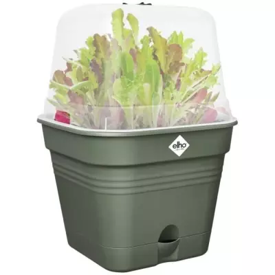 Pot De Fleurs Carré GREEN BASICS - Ø20 - Vert Feuille