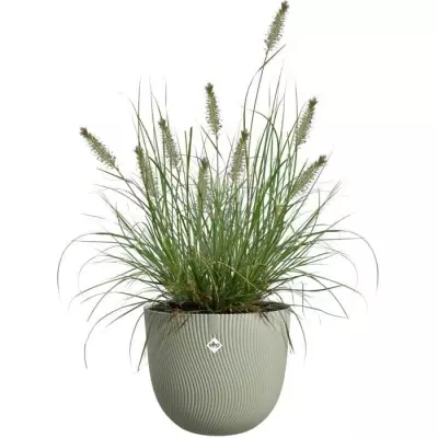 Pot de fleurs ELHO Sereh Rond 40 Vert - 100% recyclé