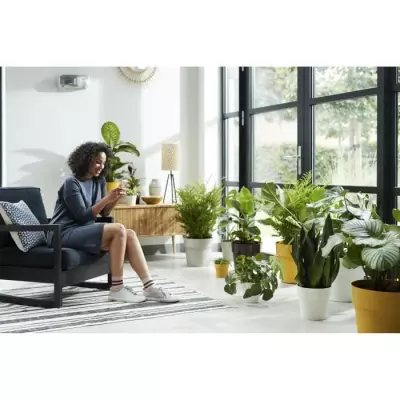 Jardinière Original Rond 25 ocre - Dimensions compactes Jardinière Original Rond 25 ocre - Dimensions compactes