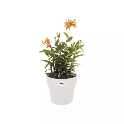 POT DE FLEUR Original Rond Roues 35 blanc