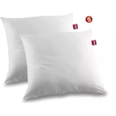 Lot de 2 oreillers anti-acariens en coton traité Biome - ABEIL